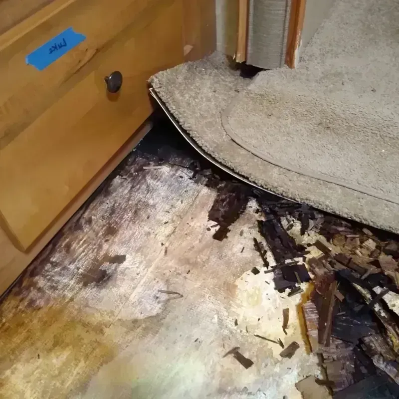 Wood Floor Water Damage in Foley, MN